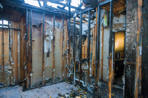 Professional Soot Cleanup technician working in Rockford, MN
